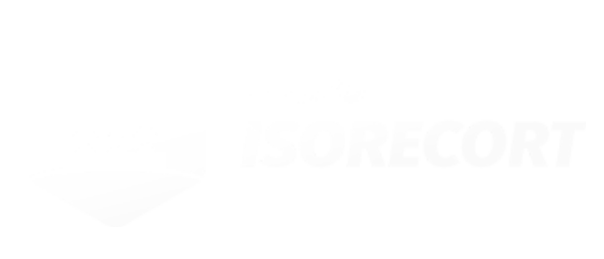 Logo Cliente 2
